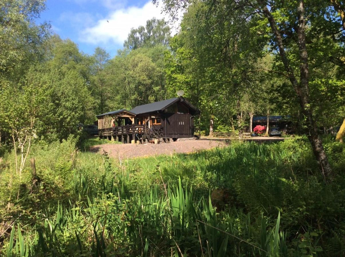 Loch Aweside Forest Dalavich