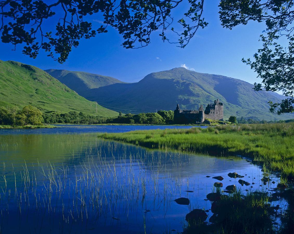 Loch Aweside Forest * Dalavich
